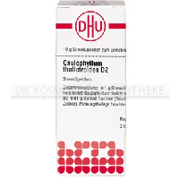 DHU CAULOPHYLLUM THALICTROIDES D 2 Globulos