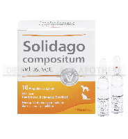 SOLIDAGO COMPOSITUM veterinario ampollas