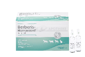 HEEL BERBERIS HOMACCORD veterinario ampollas